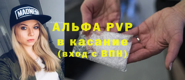 крисы Алексин