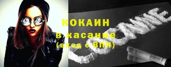 крисы Алексин