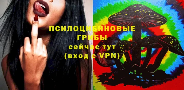 крисы Алексин