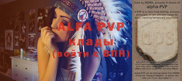 крисы Алексин