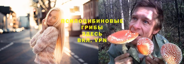 прущие крисы Алзамай