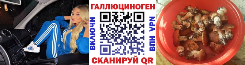 хочу   Камешково  Псилоцибиновые грибы Cubensis 